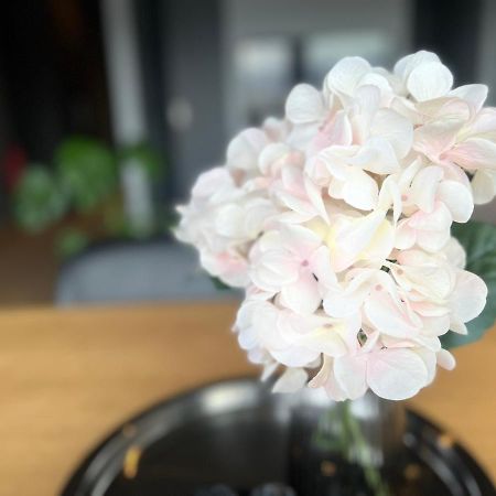 Tb Apartments Akureyri Ngoại thất bức ảnh